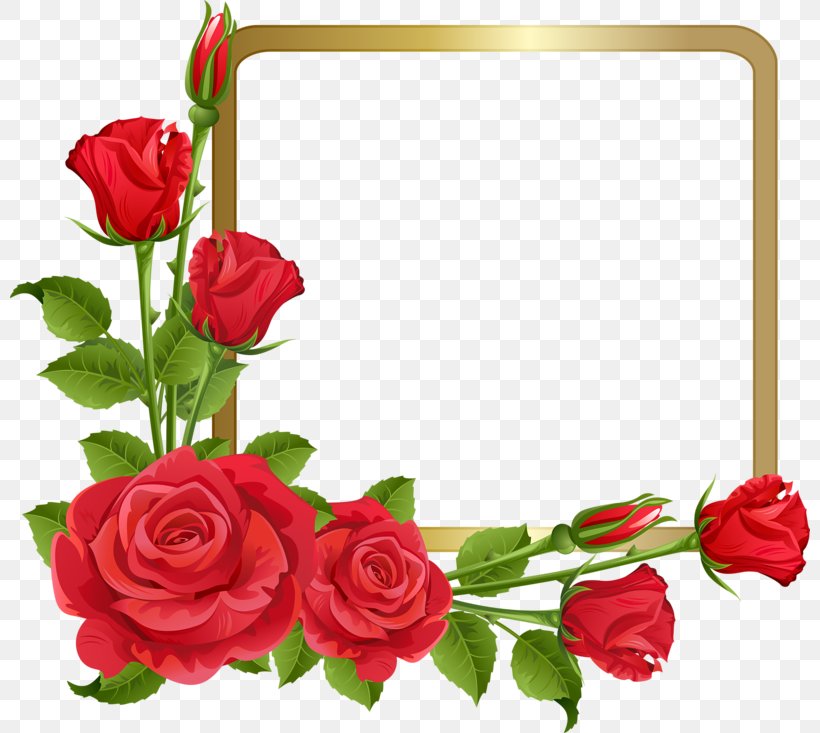 Borders And Frames Rose Clip Art Flower Png 800x733px Borders And