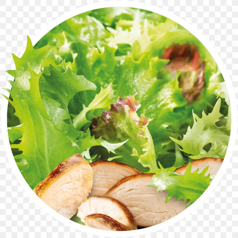 Caesar Salad Lettuce Vinaigrette Crudités Vegetarian Cuisine, PNG, 1000x1000px, Caesar Salad, Cheese, Dish, Emmental Cheese, Fines Herbes Download Free