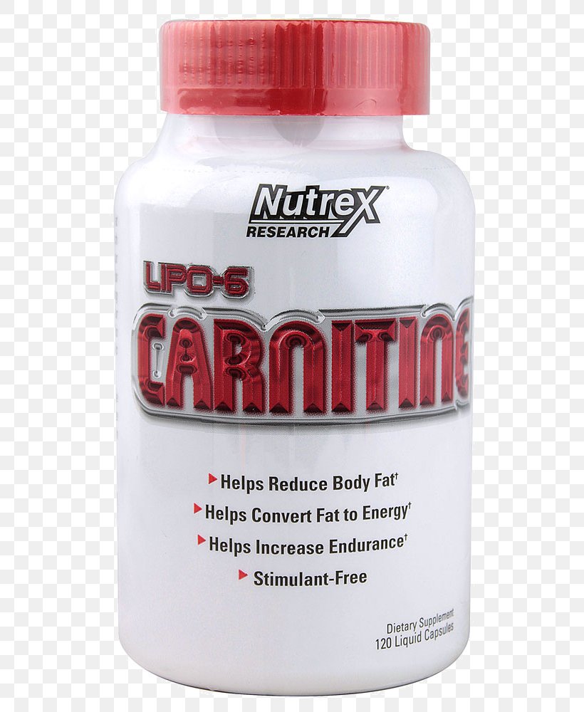 Dietary Supplement Levocarnitine Capsule Softgel Garcinia Gummi-gutta, PNG, 576x1000px, Dietary Supplement, Acetylcarnitine, Adipose Tissue, Bodybuilding Supplement, Capsule Download Free