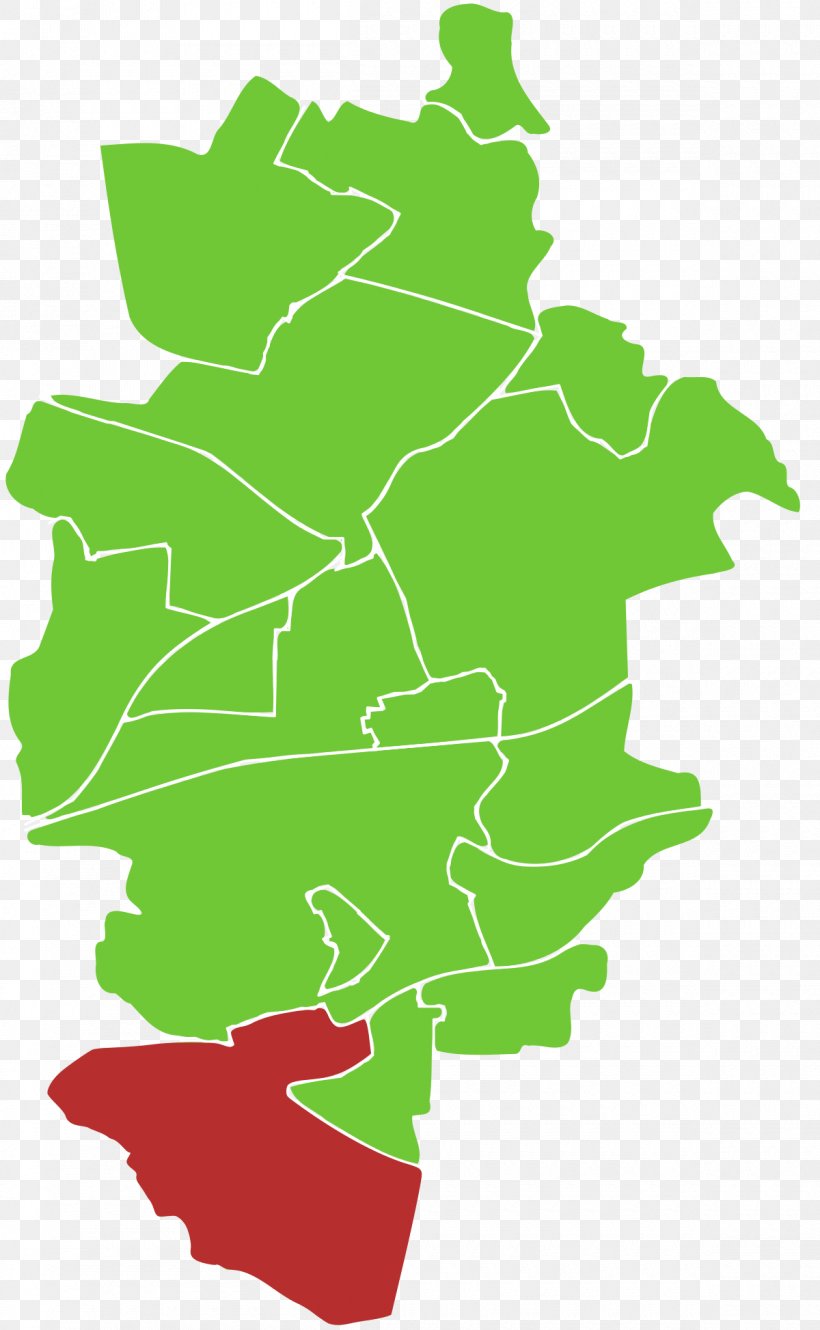 Klein Zabrze Upper Silesia Dorotheendorf Gornik Zabrze Png 1200x1947px Zabrze Area City Flowering Plant Grass Download