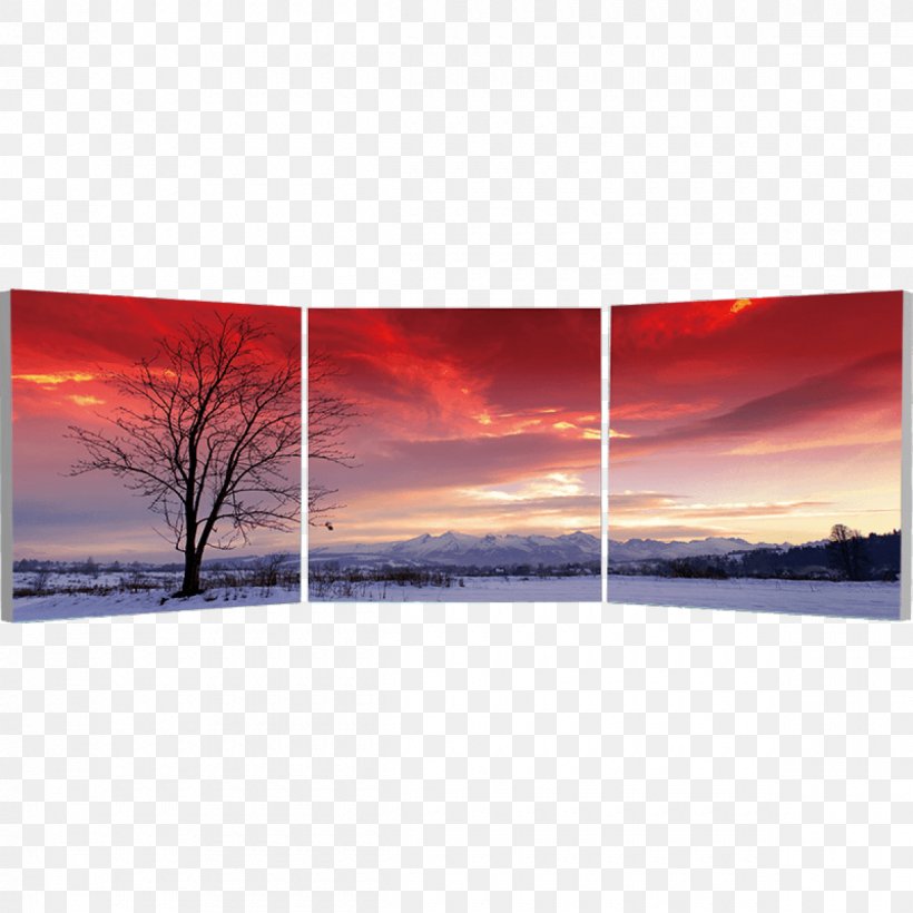 Panoramic Photography Picture Frames Panorama Landscape, PNG, 1200x1200px, Photography, Art, Beach, Canvas, Cityscape Download Free