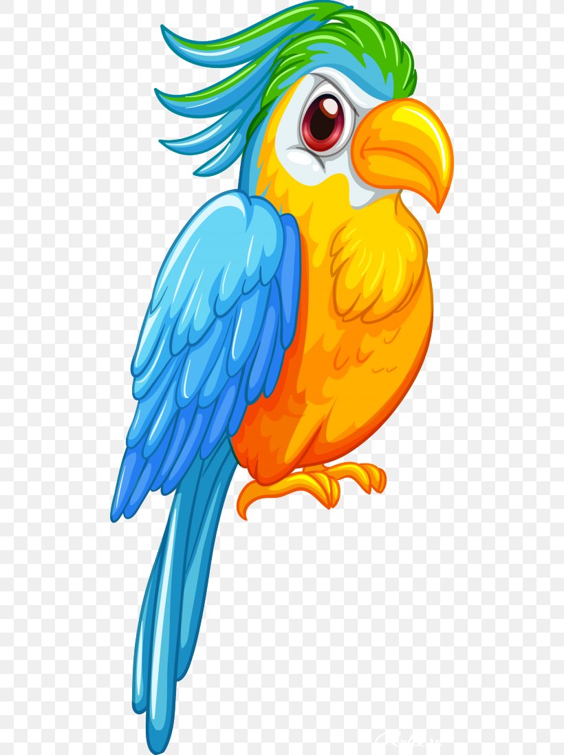 Parrot Bird Macaw Clip Art, PNG, 500x1098px, Parrot, Amazon Parrot, Art, Beak, Bird Download Free
