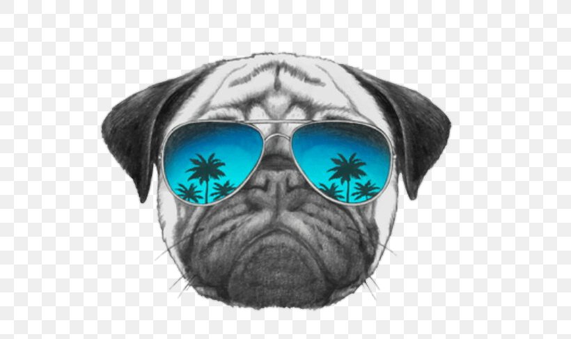 Pug T-shirt Sunglasses Dog Collar, PNG, 574x487px, Pug, Carnivoran, Collar, Dog, Dog Collar Download Free