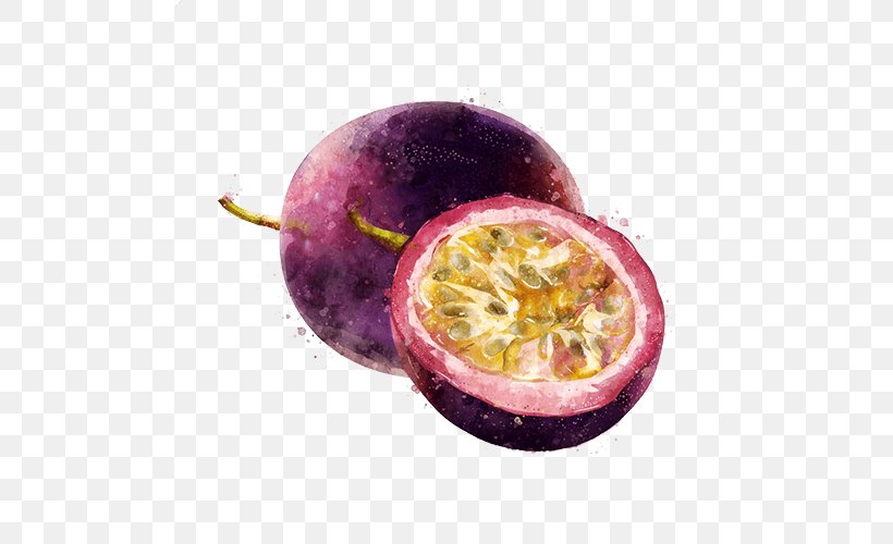 Watercolor Plant, PNG, 500x500px, Passion Fruit, Drawing, Food, Footage, Fruit Download Free
