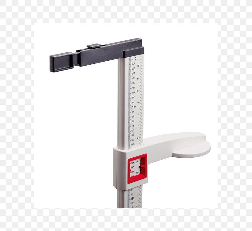 Stadiometer Seca GmbH Measurement Measuring Scales Medicine, PNG, 600x750px, Stadiometer, Hardware, Health, Health Care, Health Professional Download Free