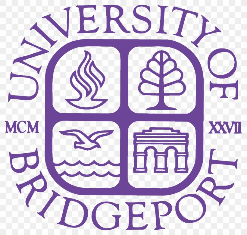University Of Bridgeport College Of Chiropractic University Of Oxford, PNG, 1076x1024px, University Of Bridgeport, Area, Brand, Bridgeport, College Download Free