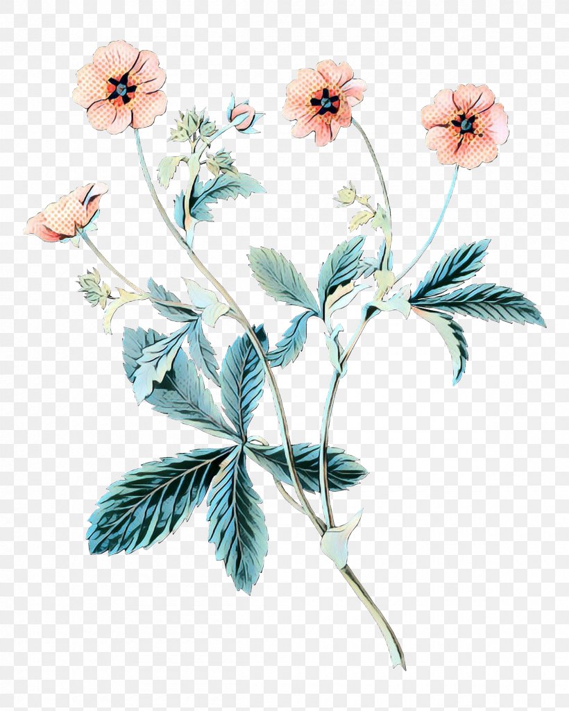 Wedding Invitation Flower Clip Art Petal, PNG, 2400x3000px, Wedding Invitation, Anemone, Botany, Drawing, Flower Download Free