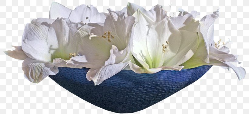 Floral Design Cut Flowers Flower Bouquet Blog, PNG, 802x376px, Floral Design, Blog, Centerblog, Cut Flowers, Diary Download Free