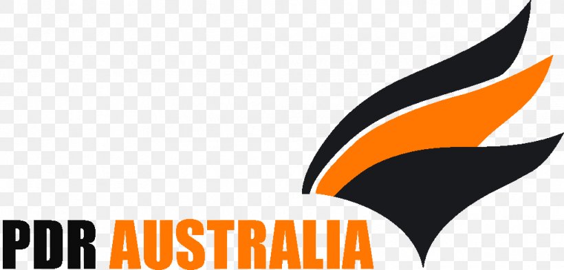 Logo Paintless Dent Repair Brand Font Australia, PNG, 1016x487px, Logo, Australia, Beak, Brand, Computer Download Free