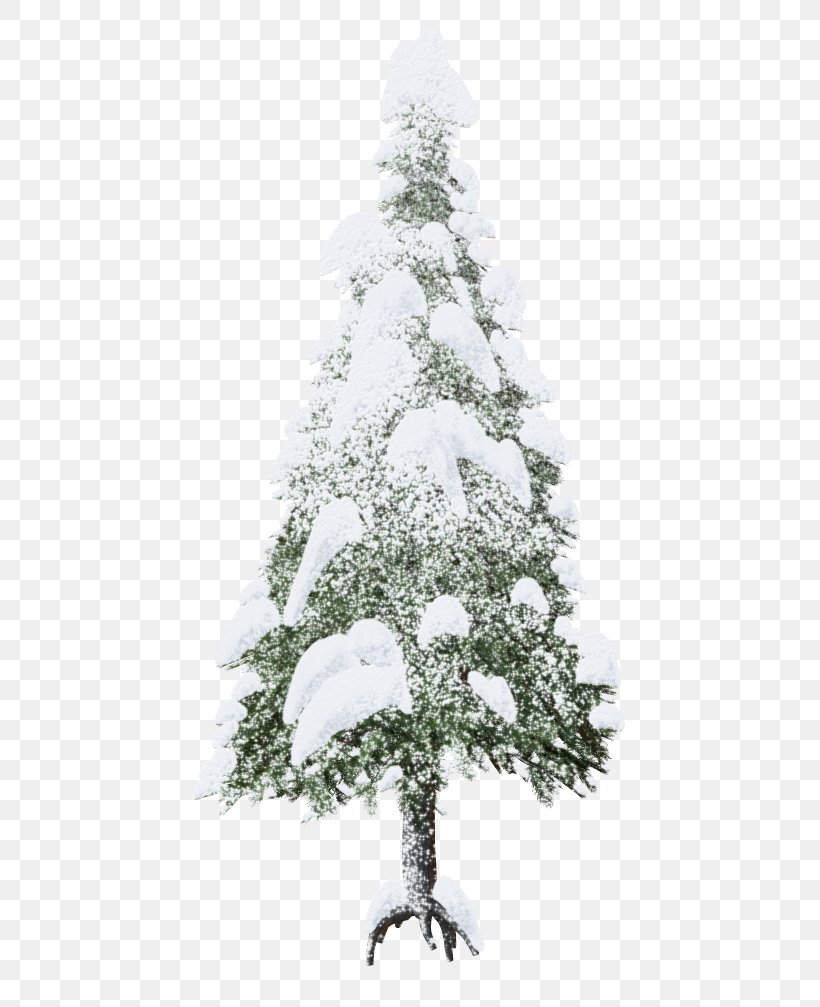 Christmas Tree Snow Clip Art, PNG, 543x1007px, Christmas Tree, Branch, Christmas, Christmas Decoration, Christmas Ornament Download Free