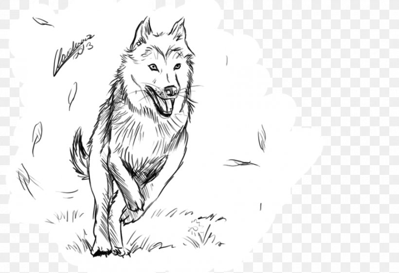 Red Fox Gray Wolf Line Art Whiskers Sketch, PNG, 900x617px, Red Fox, Artwork, Black And White, Carnivoran, Cartoon Download Free