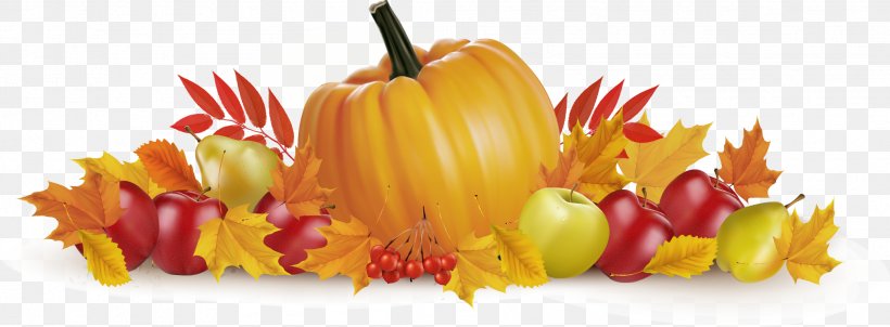 Thanksgiving Autumn Illustration, PNG, 2085x768px, Thanksgiving, Autumn, Bell Peppers And Chili Peppers, Flower, Food Download Free
