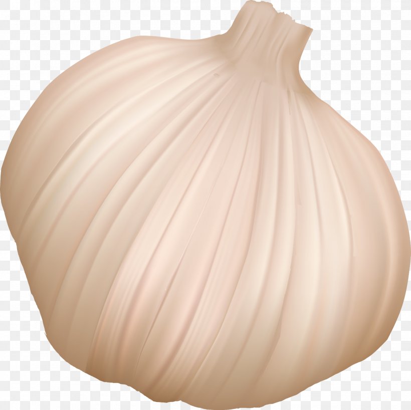 Vegetable Oil Onion Tomato, PNG, 1544x1541px, Vegetable, Artifact, Cabbage, Diet, Farmer Download Free