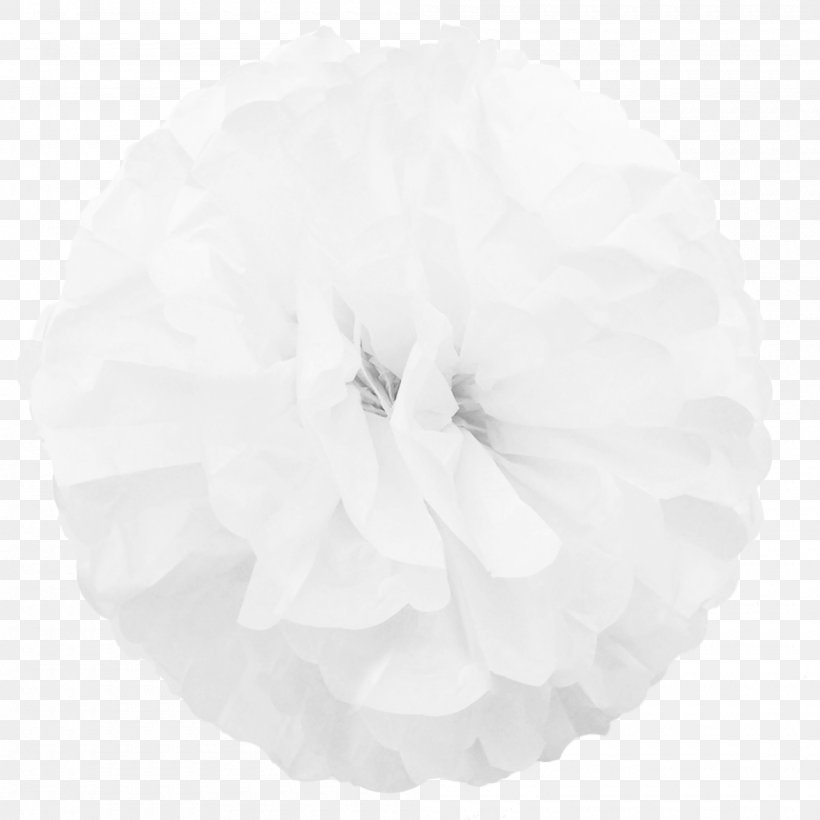 White, PNG, 2000x2000px, White, Black And White, Flower, Monochrome, Monochrome Photography Download Free
