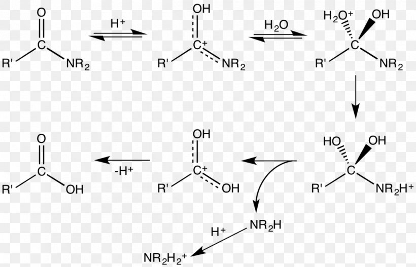 Schmidt Reaction Carboxylic Acid Amide Hydrolysis Protonation, PNG, 1200x772px, Carboxylic Acid, Acid, Acrylic Acid, Acyl Group, Amide Download Free