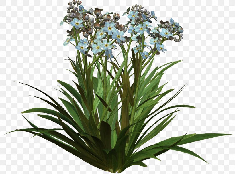 Flower Plant Clip Art, PNG, 1800x1340px, Flower, Collage, Cut Flowers, Digital Image, Flowering Plant Download Free