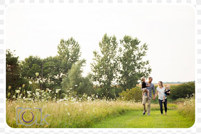 Amanda Kopcic Photography & Videography Portrait Family, PNG, 960x640px, Photography, Ceremony, Family, Farm, Field Download Free