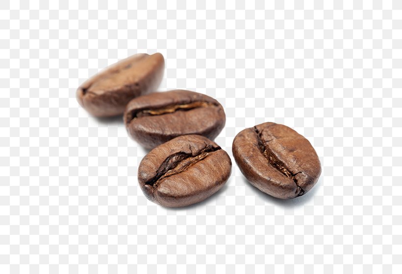 Jamaican Blue Mountain Coffee Cocoa Bean Caffeine Commodity Cacao Tree, PNG, 560x560px, Jamaican Blue Mountain Coffee, Cacao Tree, Caffeine, Cocoa Bean, Commodity Download Free