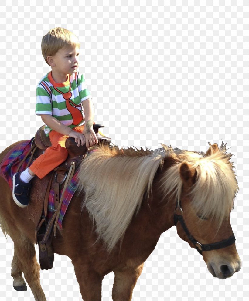 Pony Horse Rein Western Riding Bridle, PNG, 932x1128px, Pony, Art, Bridle, Child, Cowboy Download Free