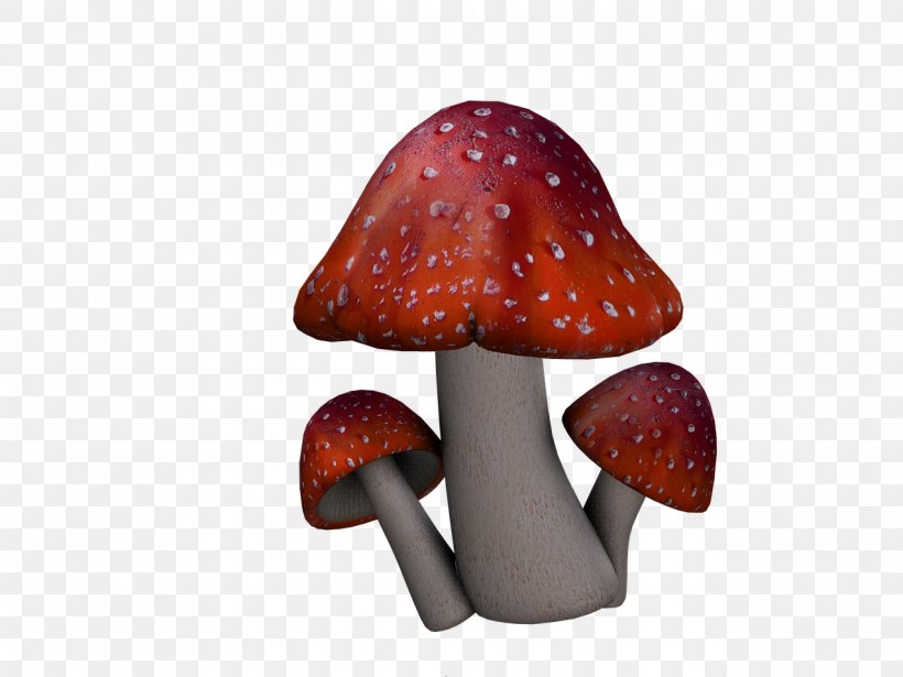 Amanita Muscaria Mushroom Fungus, PNG, 1280x960px, Amanita Muscaria, Agaricus, Amanita, Fungus, Image File Formats Download Free
