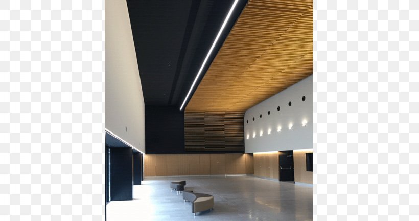 Architecture Interior Design Services Hospital Álvaro Cunqueiro, PNG, 1024x540px, Architecture, Architect, Art, Ceiling, Dance Download Free