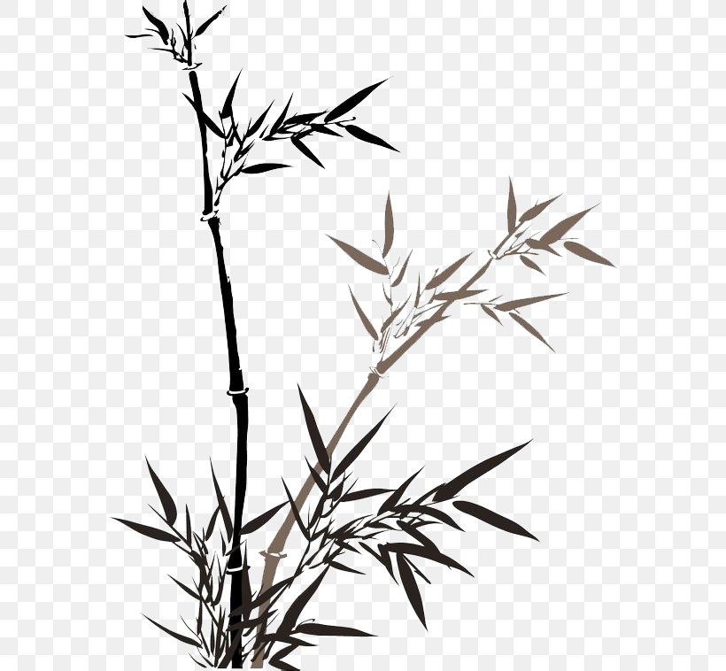 Bamboo Ink Wash Painting Watercolor Painting, PNG, 580x758px, Bamboo, Bamboo Textile, Birdandflower Painting, Black And White, Branch Download Free