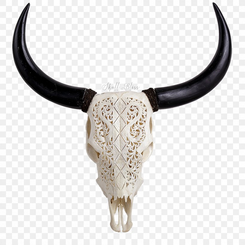 Cattle XL Horns Skull Bone, PNG, 1000x1000px, Cattle, Body Jewellery, Body Jewelry, Bone, Cart Download Free