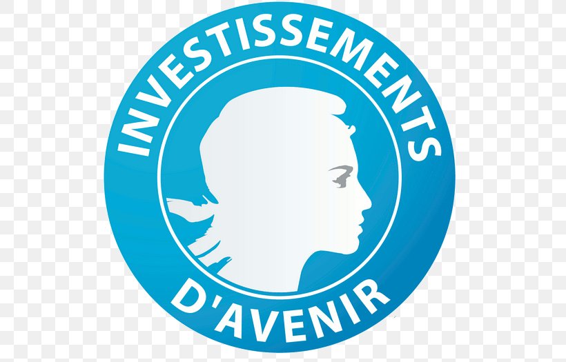 Investissements D'avenir Labex Research Investment University Of Paris-Saclay, PNG, 526x525px, Research, Area, Blue, Brand, Human Behavior Download Free