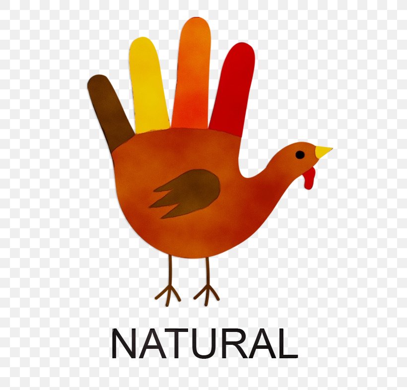 Thanksgiving Turkey Logo, PNG, 654x786px, Thanksgiving, Beak, Bird, Black Turkey, Cartoon Download Free
