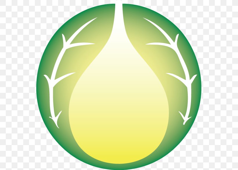 Circle Oval Sphere Green, PNG, 569x586px, Oval, Fruit, Green, Leaf, Sphere Download Free