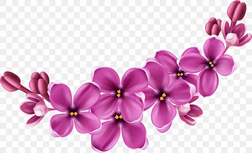 Purple Health Products Centre Flower, PNG, 3500x2134px, Purple, Blossom, Cut Flowers, Floral Design, Flower Download Free