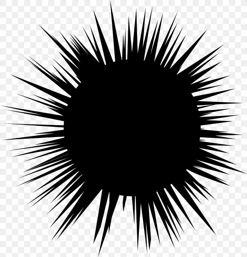 Sea Urchin Hedgehog Silhouette Clip Art, PNG, 2305x2400px, Sea Urchin, Art, Black, Black And White, Close Up Download Free