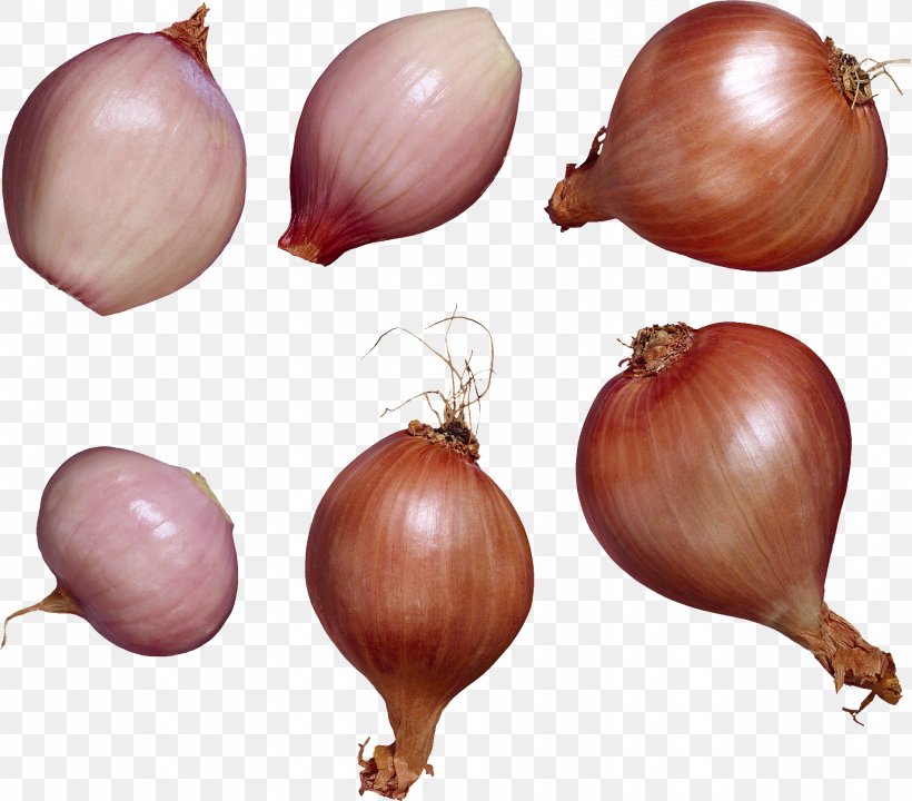 Shallot Garlic Vegetable Allium Chinense Flavor, PNG, 1904x1674px, Shallot, Allium, Allium Chinense, Bulb, Flavor Download Free