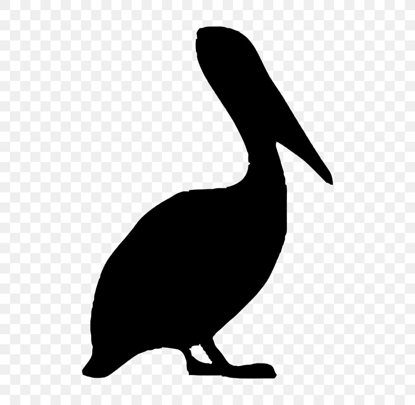Bird Brown Pelican Clip Art, PNG, 600x800px, Bird, Artwork, Beak, Black And White, Brown Pelican Download Free