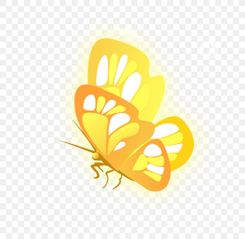 Butterfly Yellow, PNG, 800x800px, Butterfly, Butterflies And Moths, Cartoon, Gold, Gratis Download Free