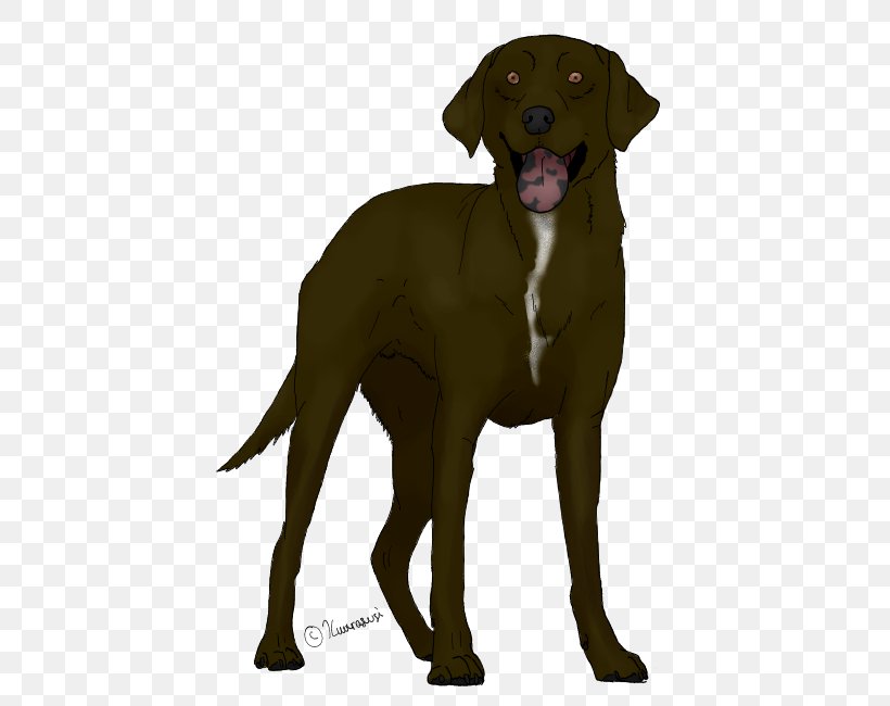 Labrador Retriever Vizsla Puppy Dog Breed, PNG, 700x650px, Labrador Retriever, Carnivoran, Depositphotos, Dog, Dog Breed Download Free