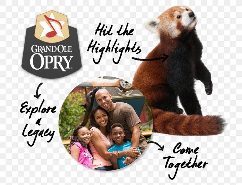 Mammal Grand Ole Opry Human Behavior, PNG, 745x627px, Mammal, Behavior, Grand Ole Opry, Human, Human Behavior Download Free