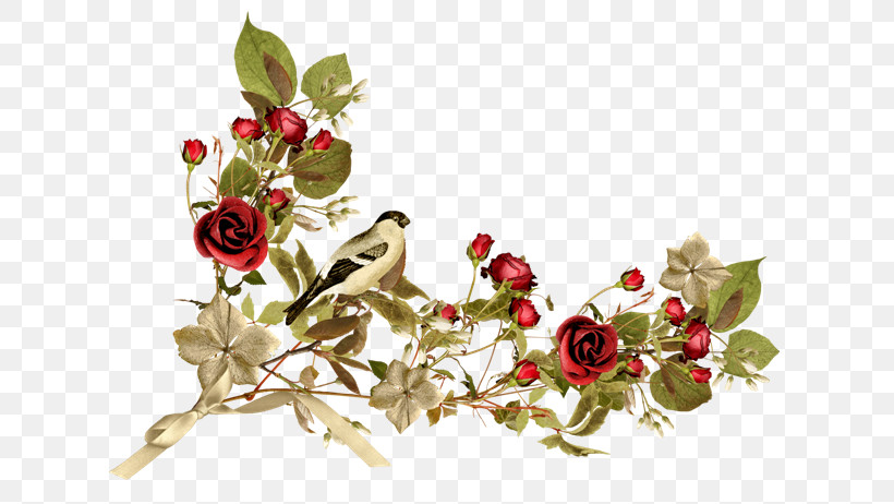 Rose, PNG, 650x462px, Flower, Branch, Cut Flowers, Plant, Rose Download Free