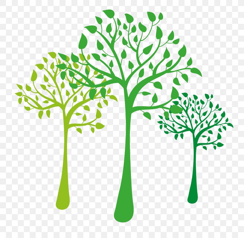Tree Clip Art, PNG, 800x800px, Tree, Branch, Crown, Flora, Flowering Plant Download Free
