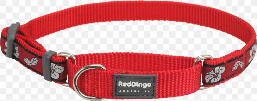 Belt Buckles Dog Collar Strap, PNG, 3000x1181px, Belt Buckles, Belt, Belt Buckle, Buckle, Collar Download Free