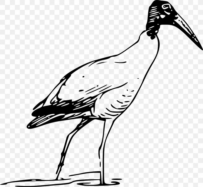 Bird Scarlet Ibis Clip Art, PNG, 1280x1182px, Bird, American White Ibis, Artwork, Beak, Black And White Download Free