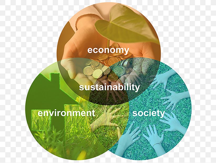 Building Construction Sustainability Studies Kommunionkarte Png 652x621px Building Adobe Spark Construction Efficient Energy Use Environmentally Friendly