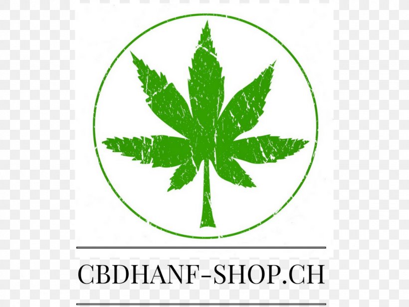 Hemp Oil Cannabis Food Cannabidiol, PNG, 1024x768px, Hemp, Brand, Business, Cannabidiol, Cannabis Download Free