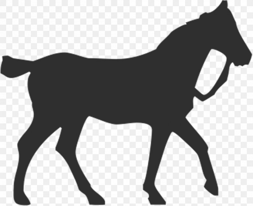 Horse Silhouette Equestrian Pet, PNG, 2000x1631px, Horse, Animal, Black And White, Bridle, Colt Download Free