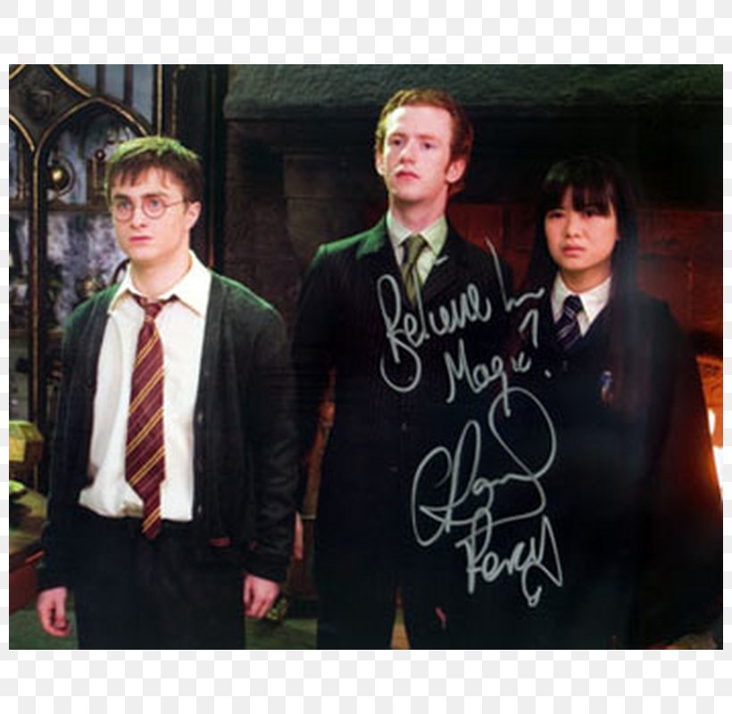 Percy Weasley Molly Weasley Harry Potter Ron Weasley Hermione Granger, PNG, 800x800px, Percy Weasley, Arthur Weasley, Autograph, Collectable, Daniel Radcliffe Download Free