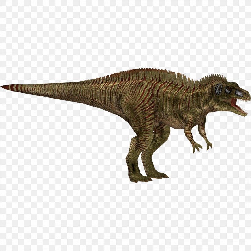 Tyrannosaurus Acrocanthosaurus Jurassic Park: Operation Genesis Velociraptor Primal Carnage: Extinction, PNG, 1163x1163px, Tyrannosaurus, Acrocanthosaurus, Allosauroidea, Animal, Animal Figure Download Free