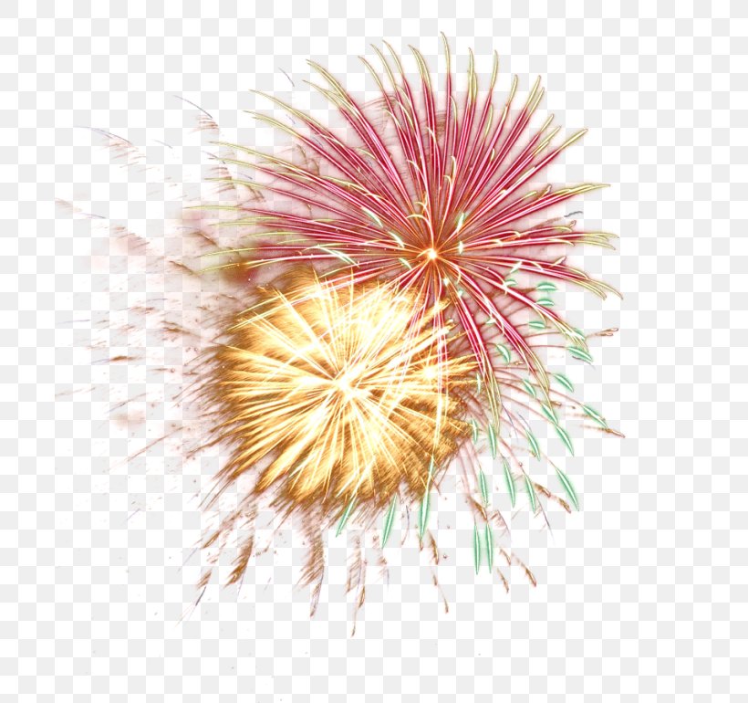 Adobe Fireworks Clip Art, PNG, 700x770px, Fireworks, Adobe Fireworks, Bonfire Night, Close Up, Flower Download Free