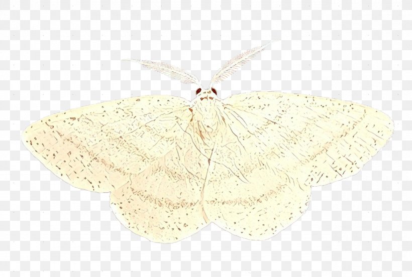 Butterfly Cartoon, PNG, 1280x863px, Silkworm, Beige, Butterfly, Insect, Lymantria Dispar Dispar Download Free