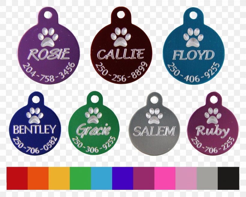 Dog Tag Cat Pet Tag Horse, PNG, 2285x1835px, Dog, Boy, Cat, Craft, Dog Tag Download Free