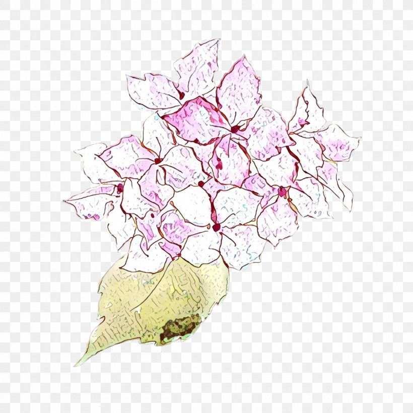 Pink Flower Plant Hydrangea Hydrangeaceae, PNG, 1200x1200px, Pink, Cut Flowers, Flower, Hydrangea, Hydrangeaceae Download Free